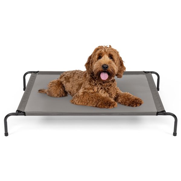 43"D x 26"W x 8"H Dog Bed Gray