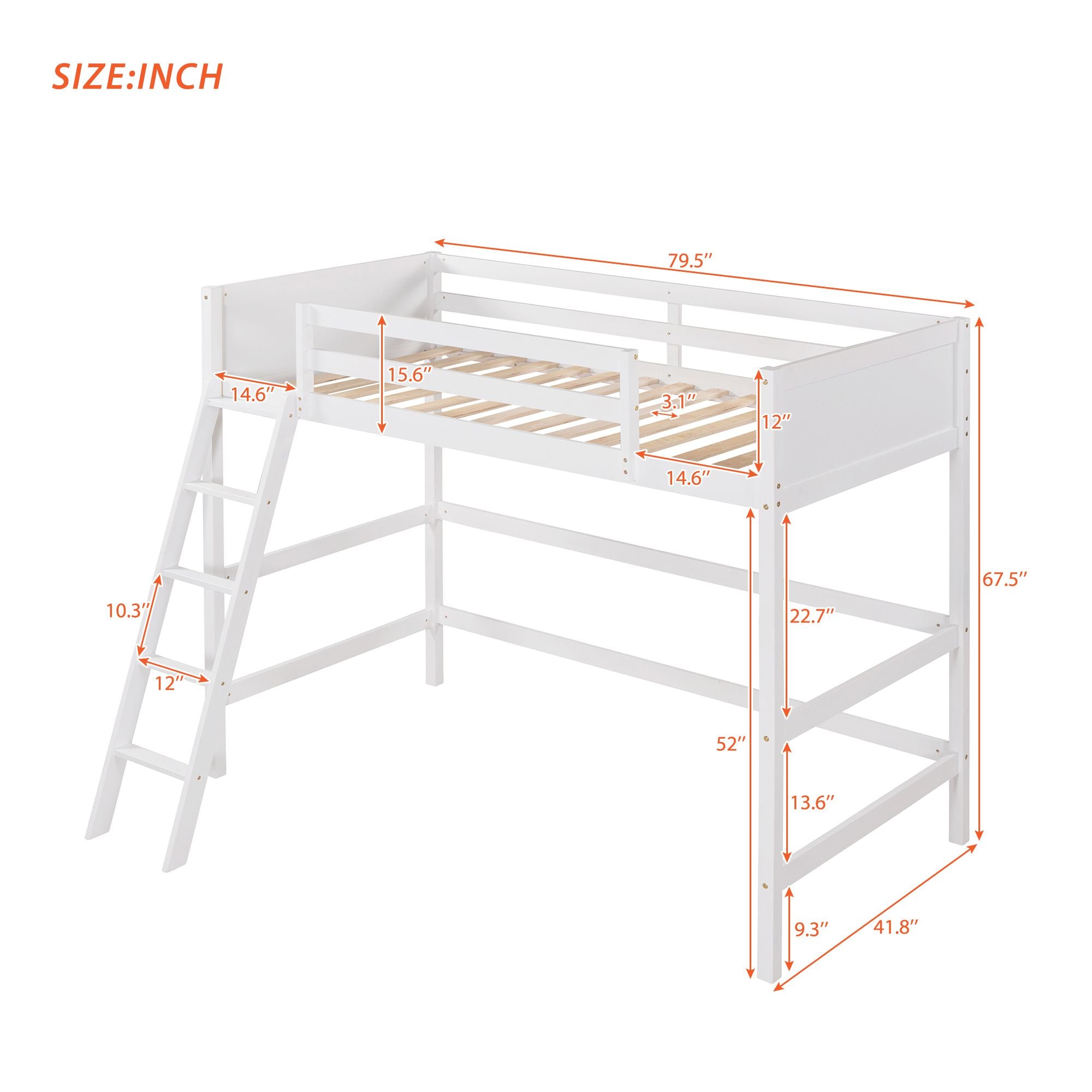 Solid Wood Twin Size Loft Bed with Ladde