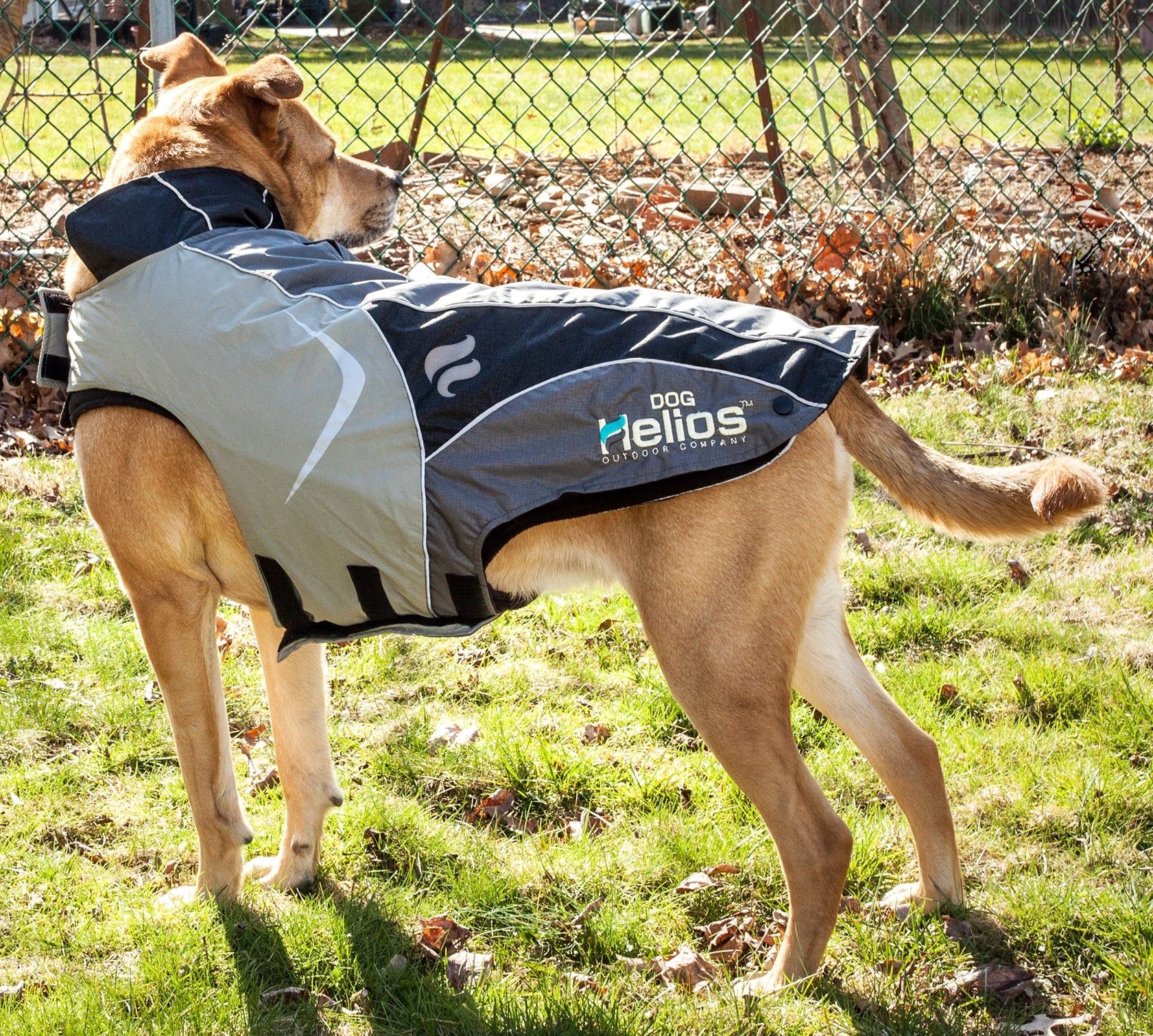 Helios Lotus-Rusher Waterproof 2-in-1 Convertible Dog Jacket with Blackshark Technology - Durable & Weatherproof Pet Jacket