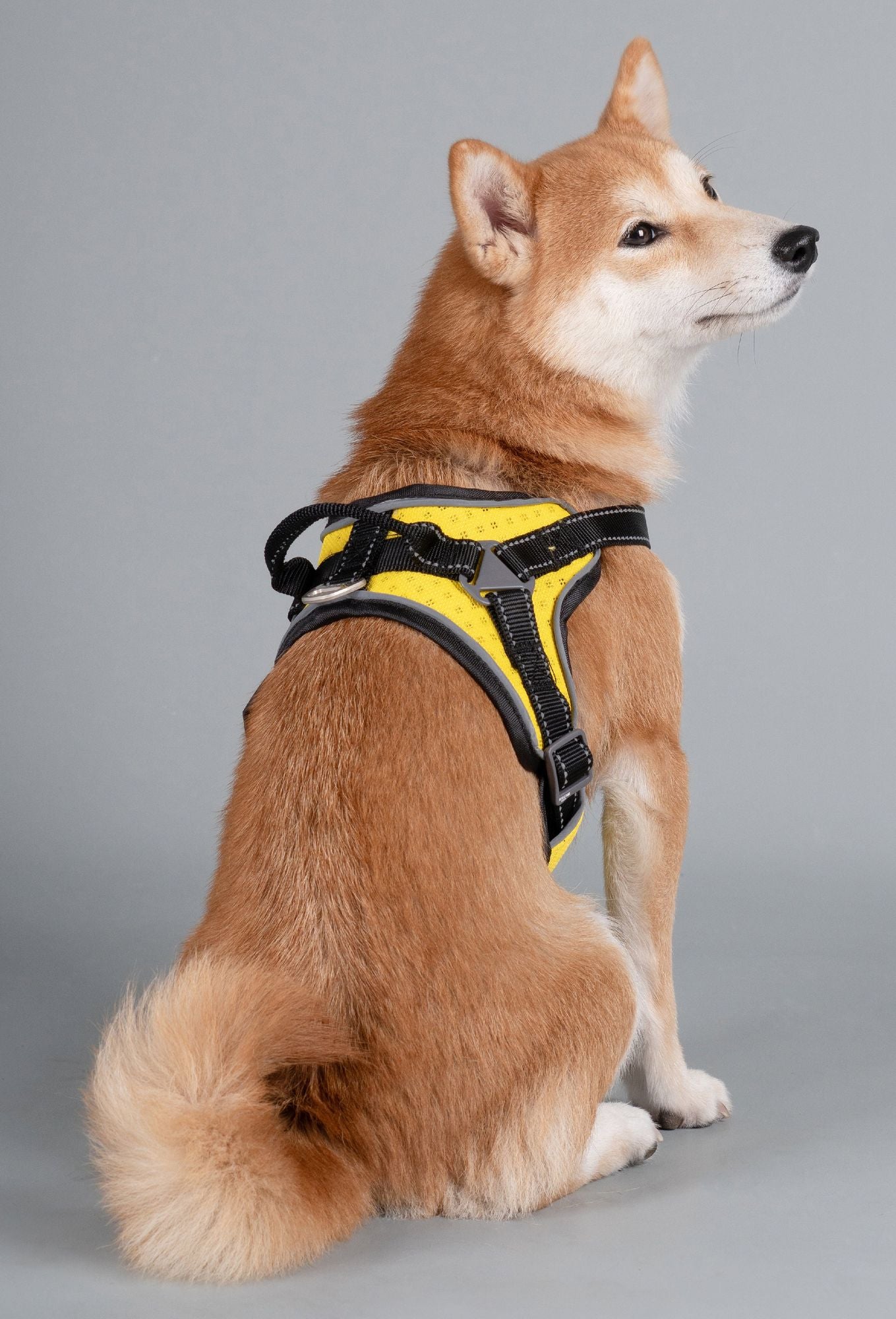 Dog Helios 'Scorpion' Sporty High-Performance Free-Range Dog Harness