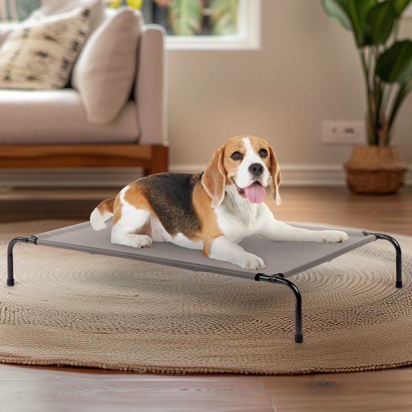 43"D x 26"W x 8"H Dog Bed Gray