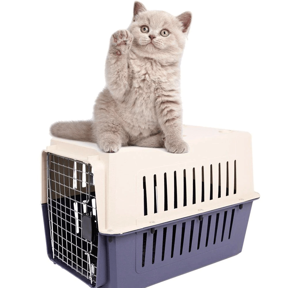 Plastic Cat & Dog Carrier Cage with Chrome Door - Portable, Airline Approved Pet Box for Cats & Dogs, Medium, Blue/Red