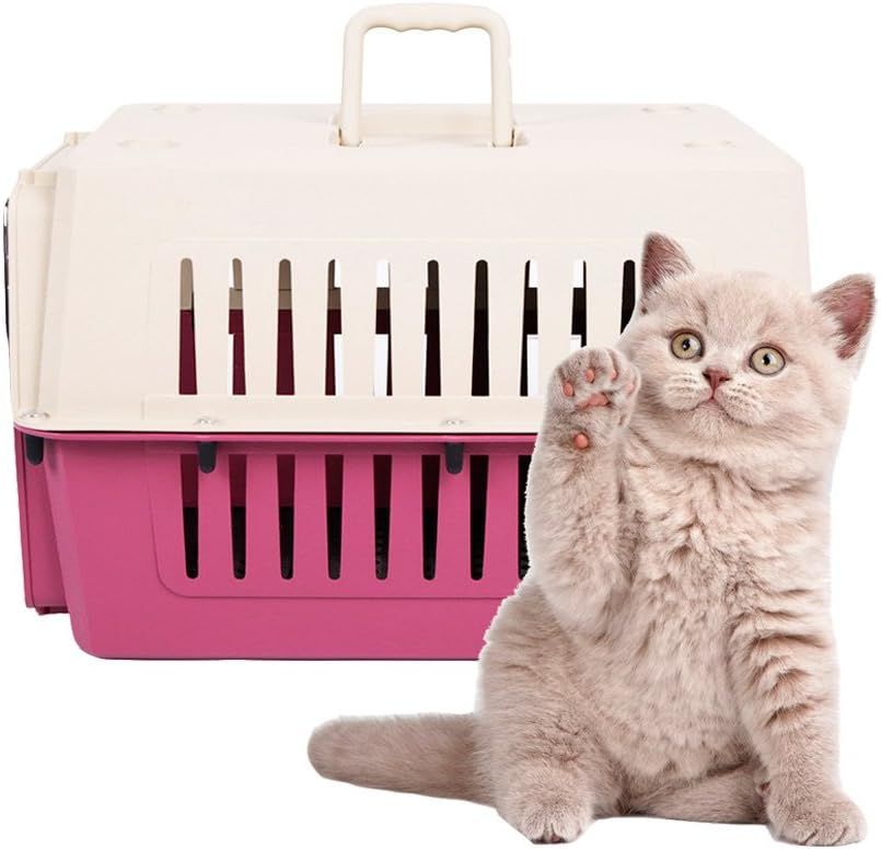 Plastic Cat & Dog Carrier Cage with Chrome Door - Portable, Airline Approved Pet Box for Cats & Dogs, Medium, Blue/Red