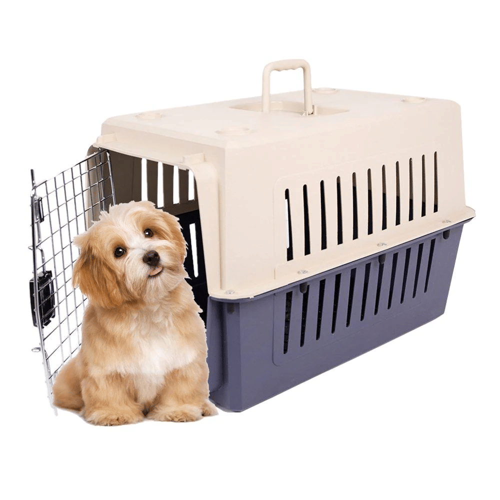 Plastic Cat & Dog Carrier Cage with Chrome Door - Portable, Airline Approved Pet Box for Cats & Dogs, Medium, Blue/Red