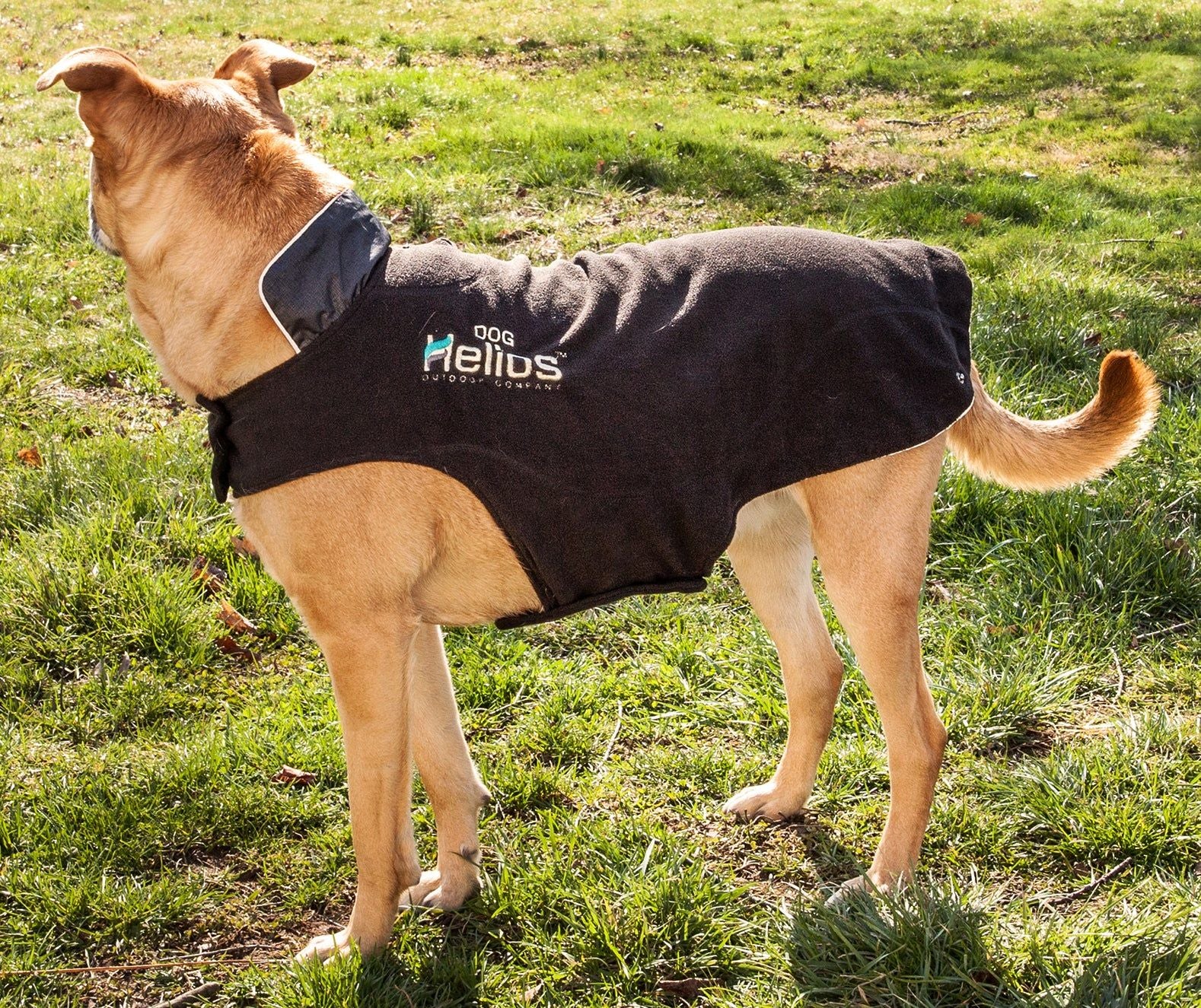 Helios Lotus-Rusher Waterproof 2-in-1 Convertible Dog Jacket with Blackshark Technology - Durable & Weatherproof Pet Jacket