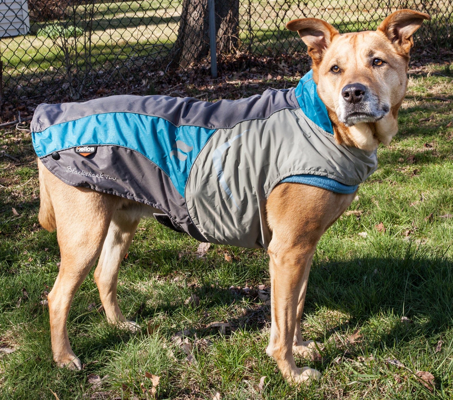 Helios Lotus-Rusher Waterproof 2-in-1 Convertible Dog Jacket with Blackshark Technology - Weatherproof & Durable