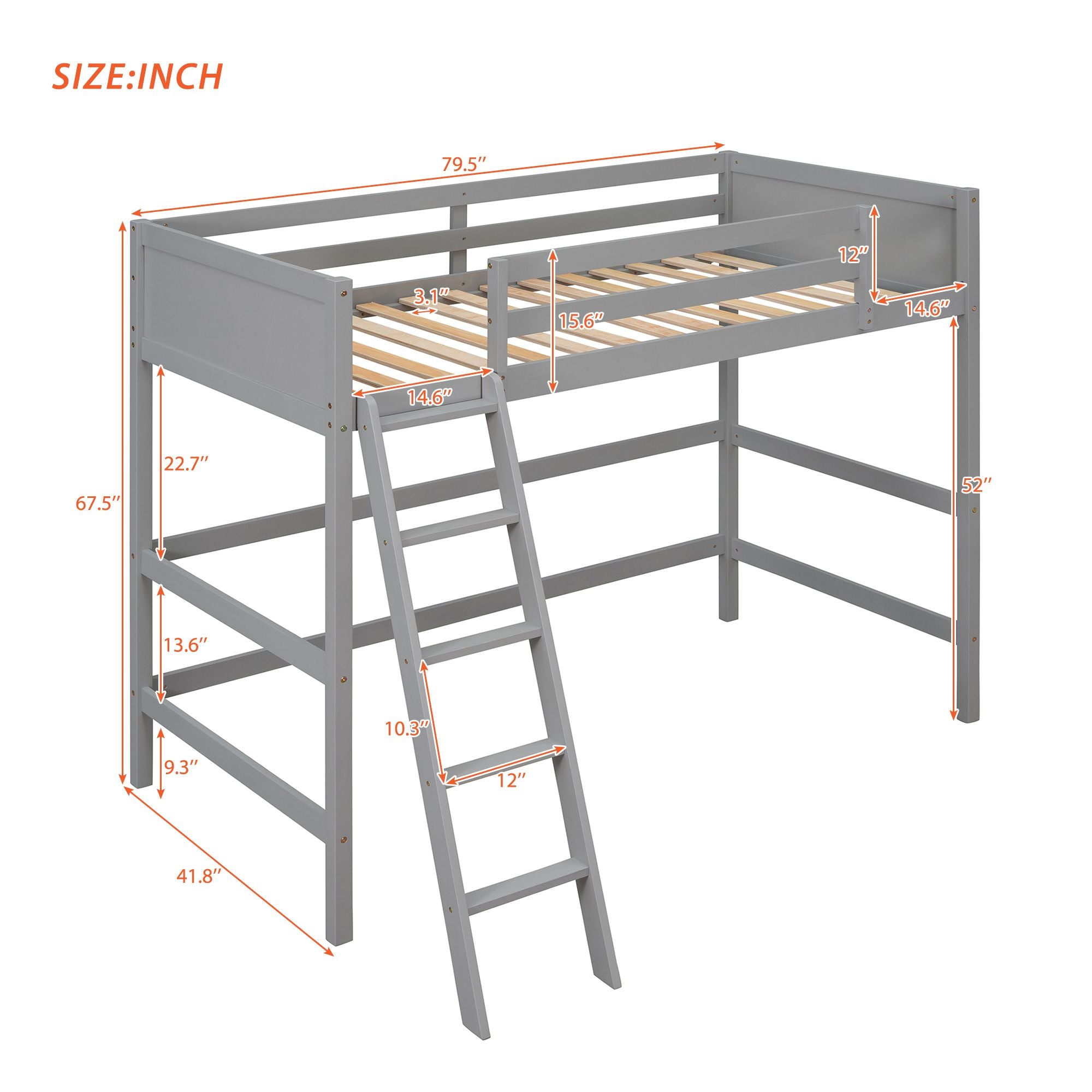 Solid Wood Twin Size Loft Bed with Ladde