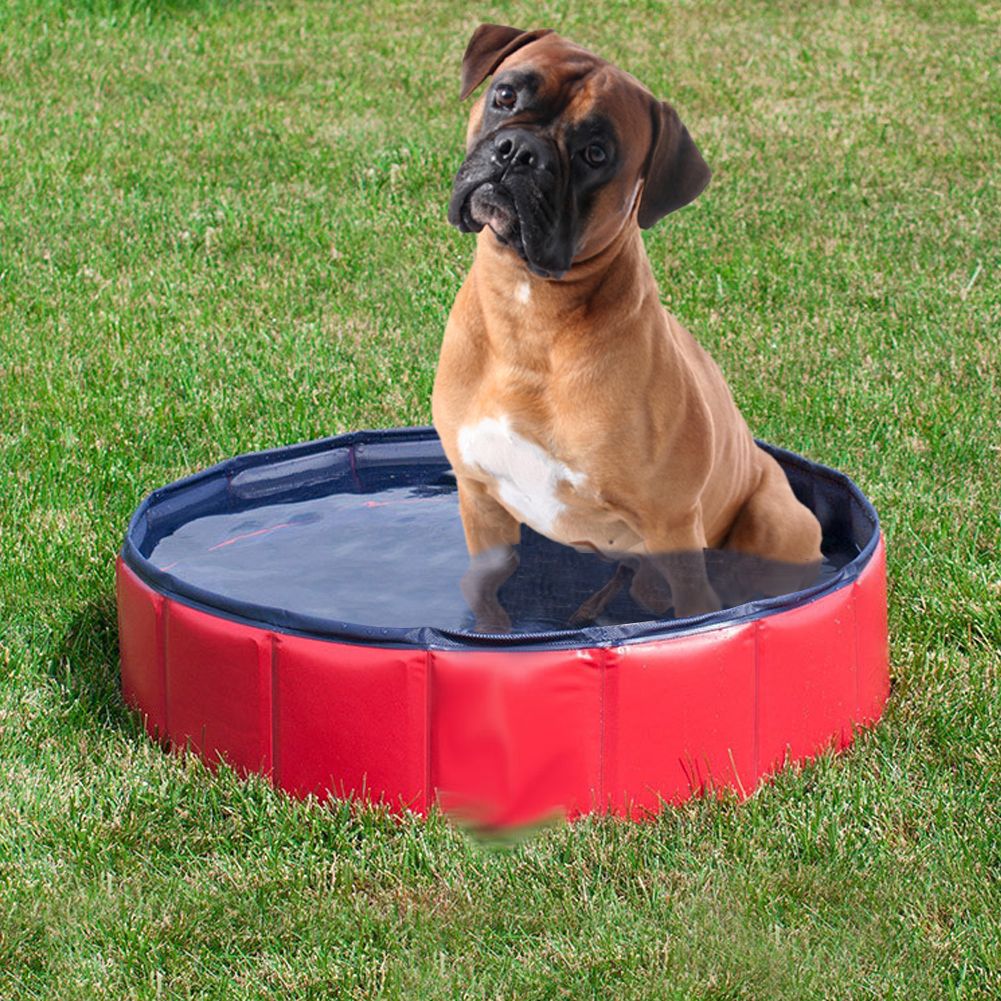 Dog Pool, 160*30/120*30 Foldable Large and Small Dog Pool, Dog Bath, 100% Safe & Non Toxic Kid's Rigid Pool