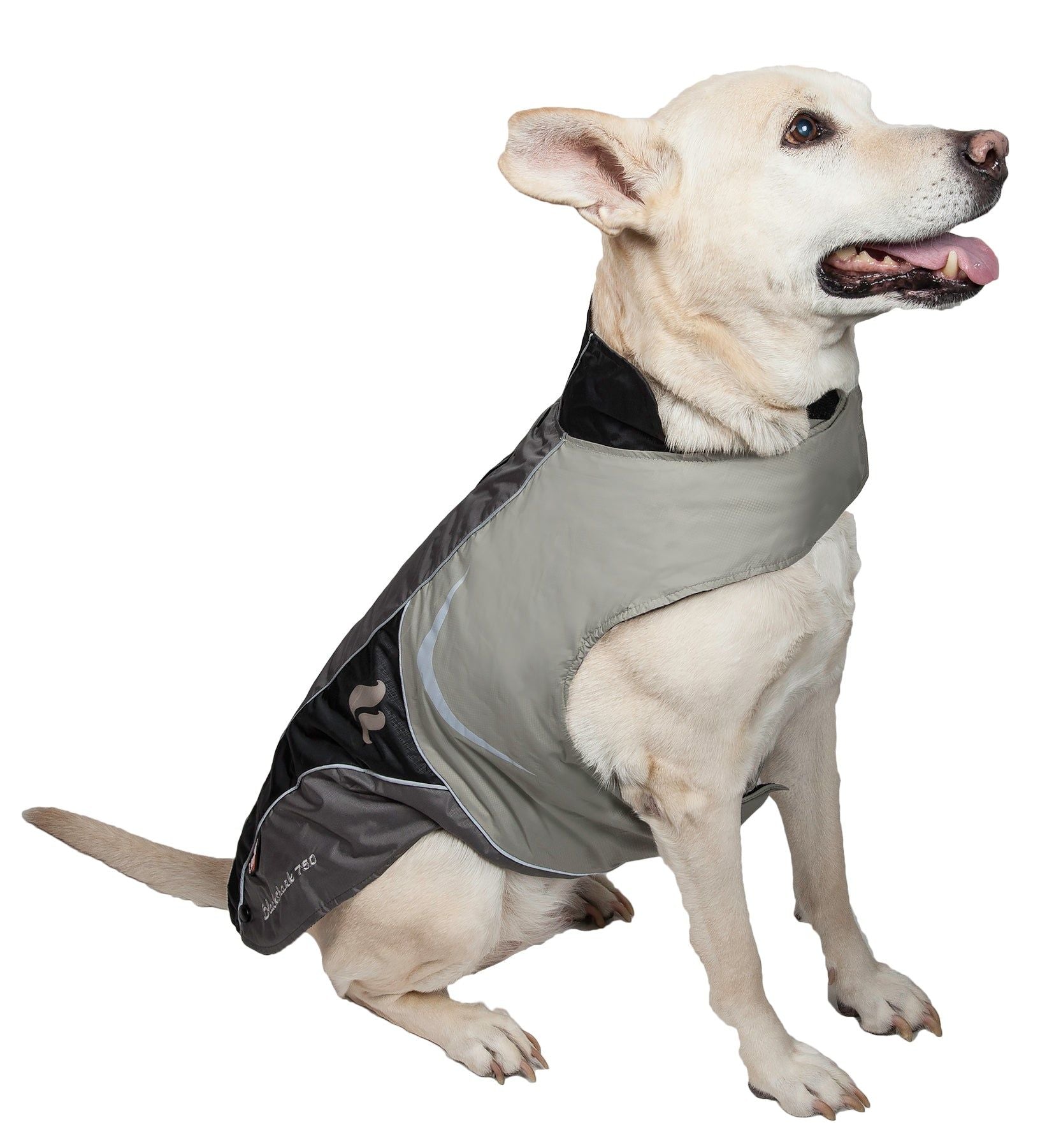 Helios Lotus-Rusher Waterproof 2-in-1 Convertible Dog Jacket with Blackshark Technology - Durable & Weatherproof Pet Jacket