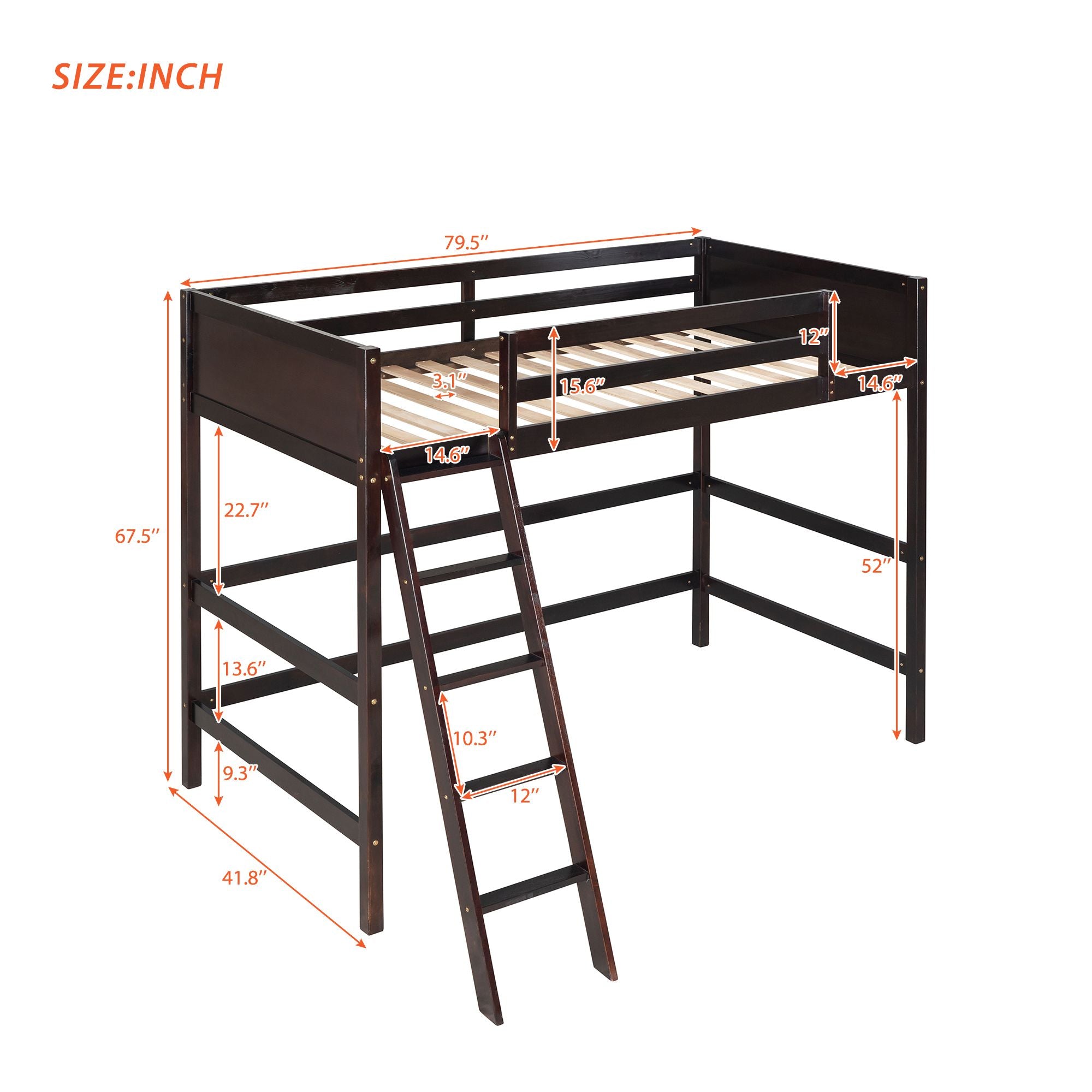 Solid Wood Twin Size Loft Bed with Ladde