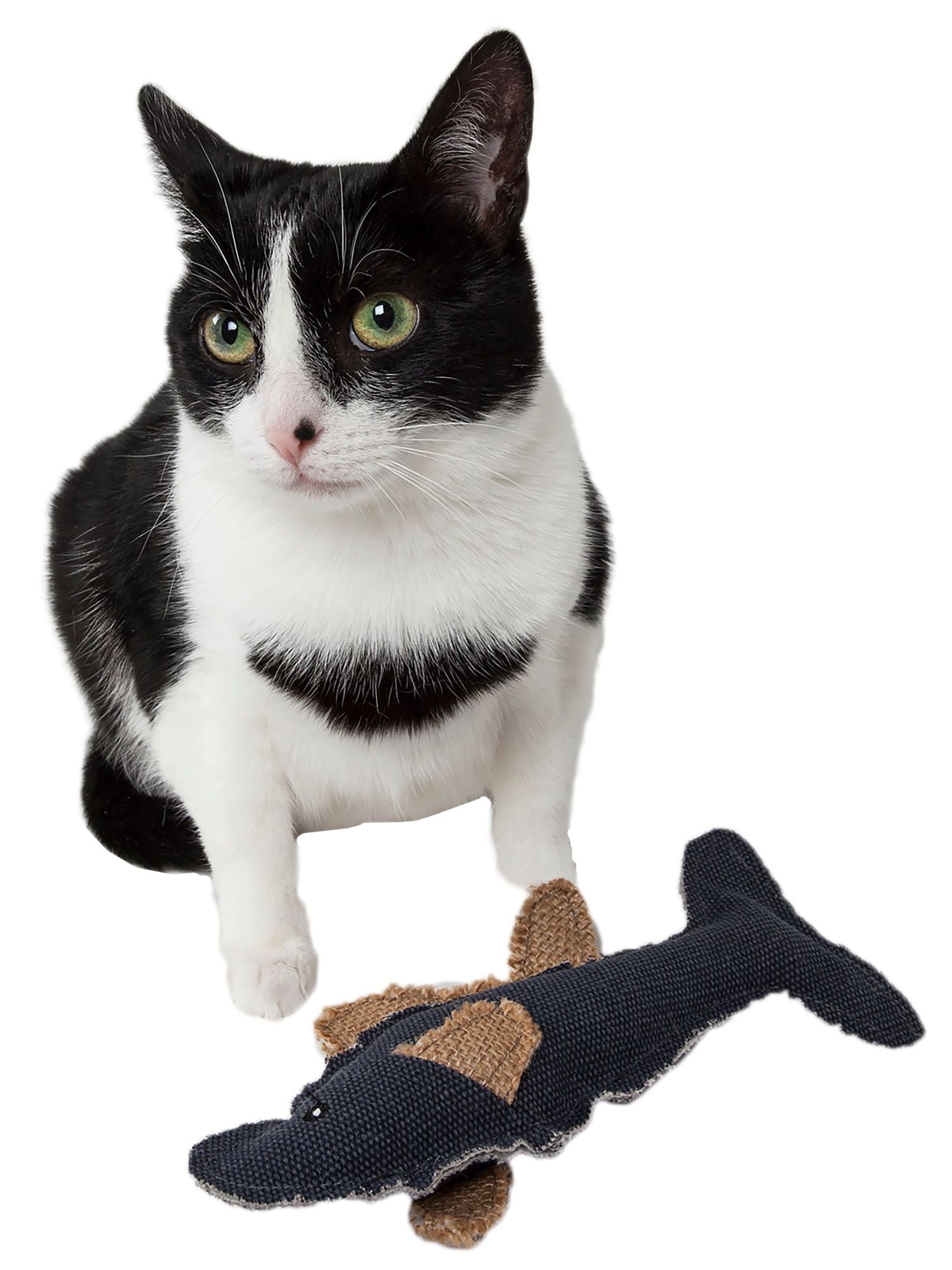 "Pet Life Durable Fish Plush Cat Toy with Catnip - Interactive Kitty Toy for Cats